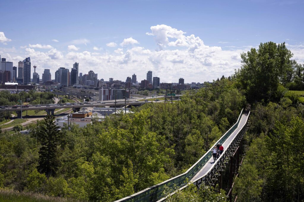 Pedestrian boardwalk winding through a green hillside with a distant city skyline under a blue sky.